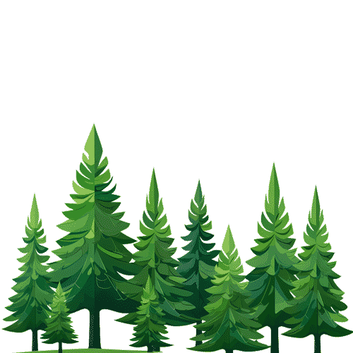 Forest, mixed