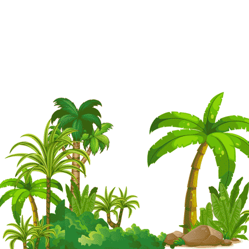 Rainforest, wet
